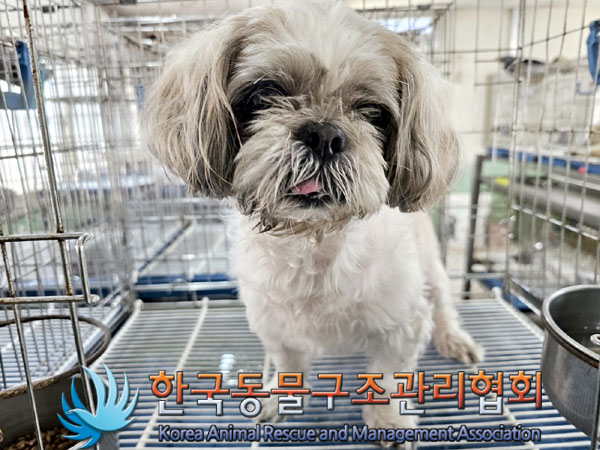 한국동물구조관리협회_411306202300418