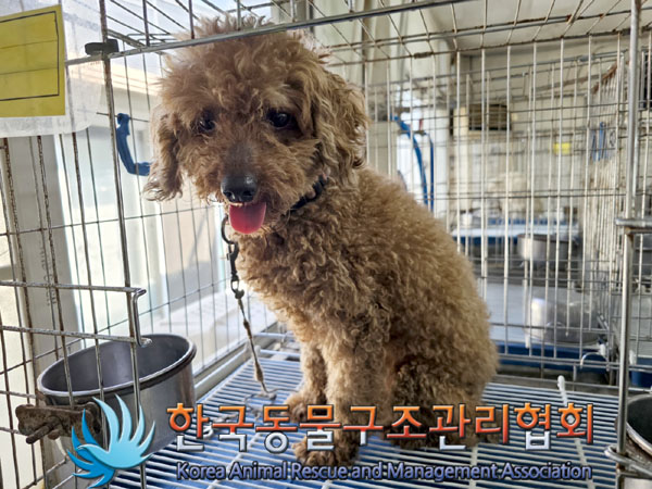 한국동물구조관리협회_411323202300577
