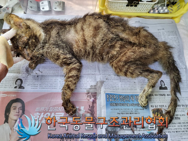 한국동물구조관리협회_411315202300399