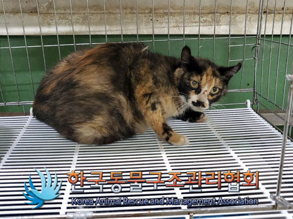 한국동물구조관리협회_441560202300788