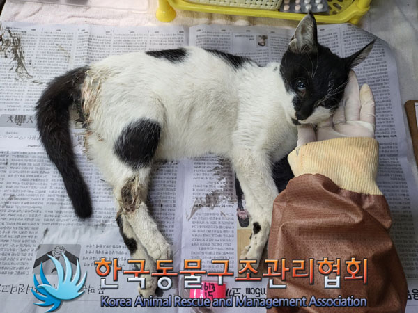 한국동물구조관리협회_411318202300278