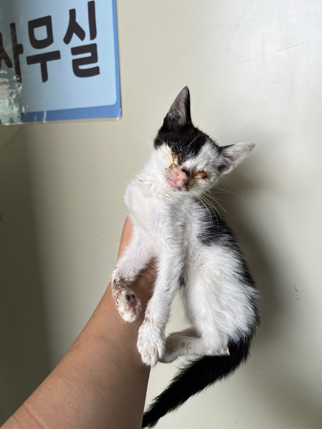 부산동물보호센터_426326202300263