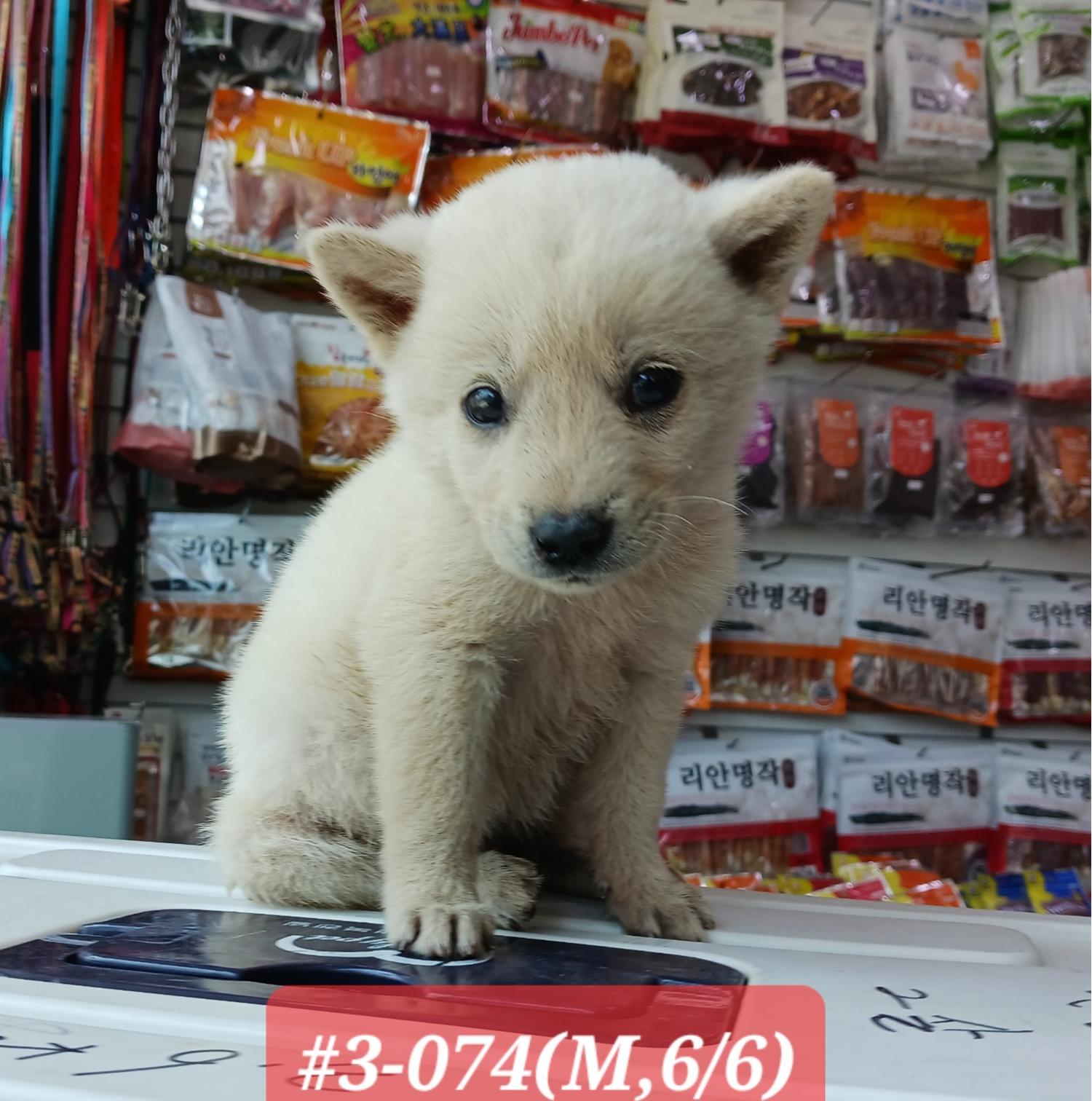 고성군유기동물보호소_448542202301342