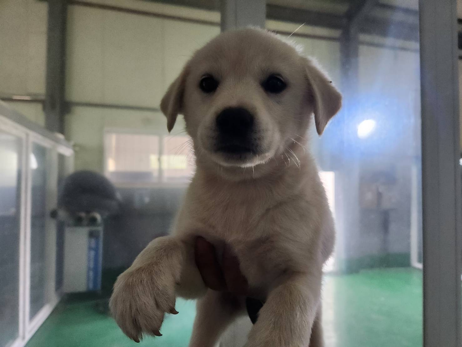 한국야생동물보호협회_441390202300239