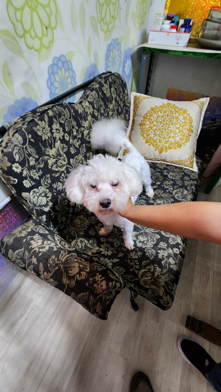 익산유기동물보호소_445468202301283