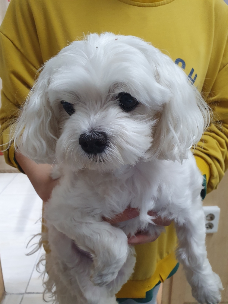 최종주동물병원_443444202300350