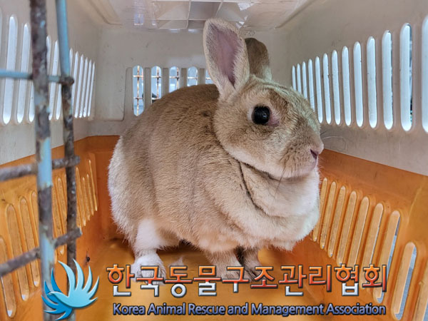 한국동물구조관리협회_411306202300419