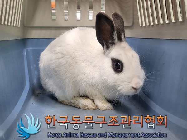 한국동물구조관리협회_411307202300215
