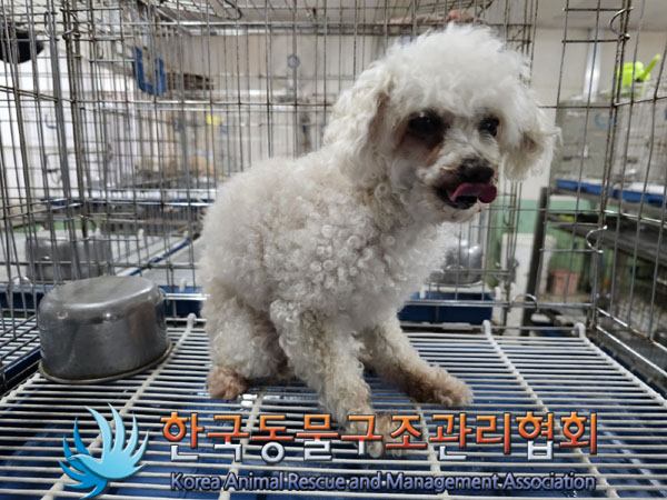 한국동물구조관리협회_411307202300214