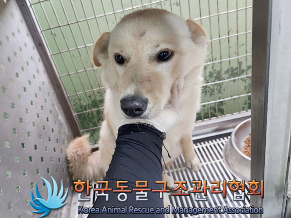 한국동물구조관리협회_441406202300864