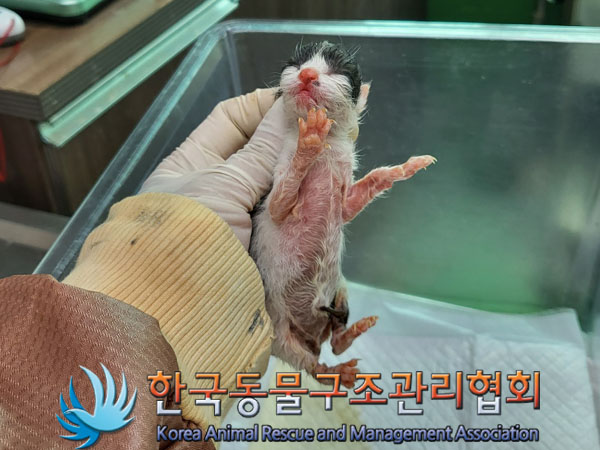한국동물구조관리협회_411316202300460