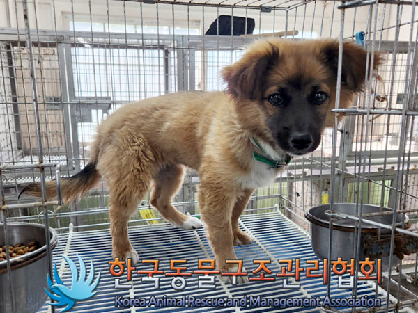 한국동물구조관리협회_441560202300791