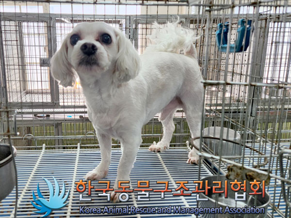 한국동물구조관리협회_441406202300863