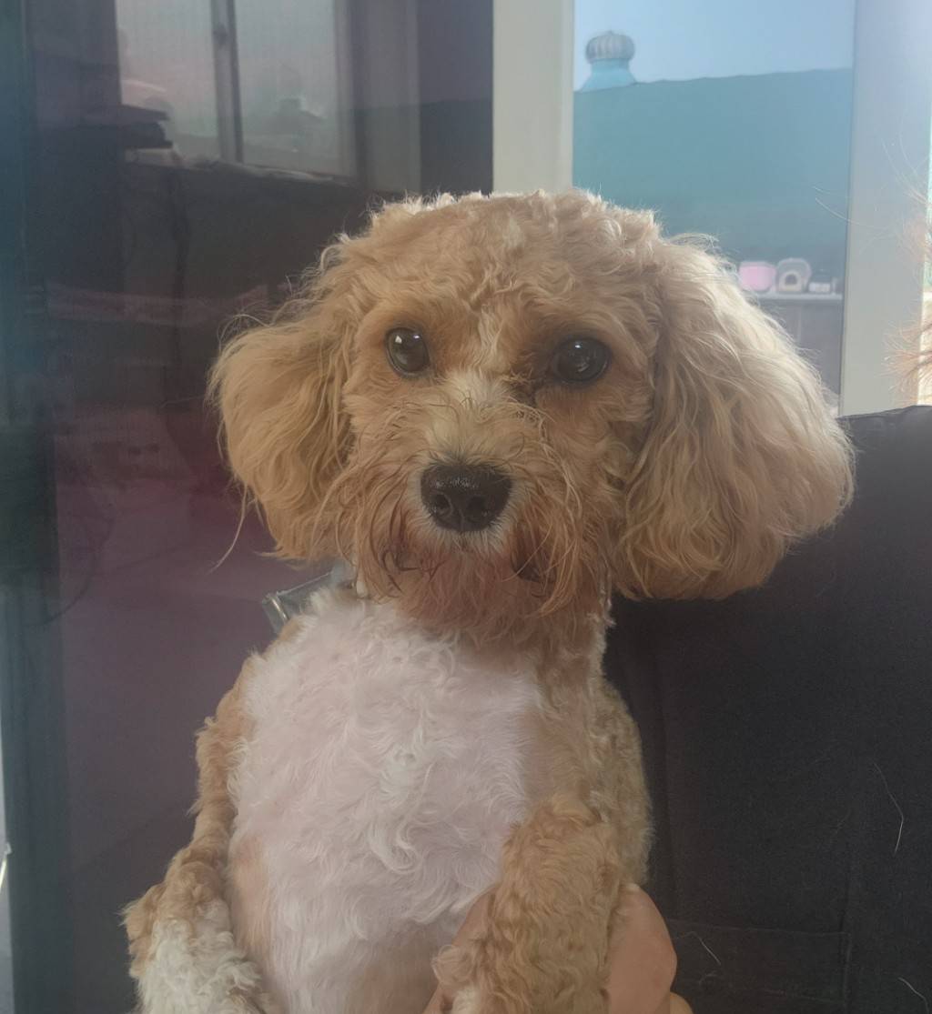 한국야생동물보호협회_441393202301086