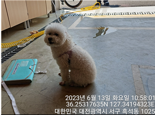 대전동물보호센터_430366202300341