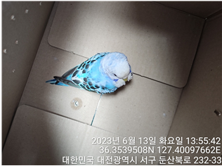 대전동물보호센터_430366202300342