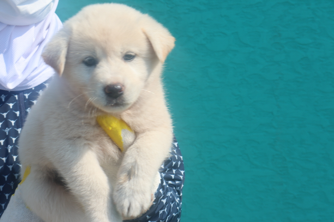 제주 동물보호센터_450650202301988