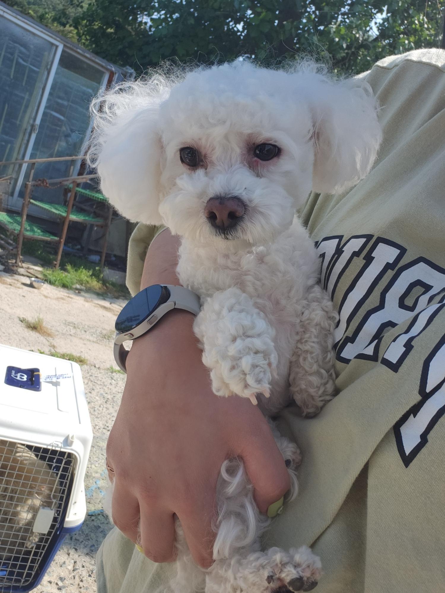 울산유기동물보호센터_431373202300612