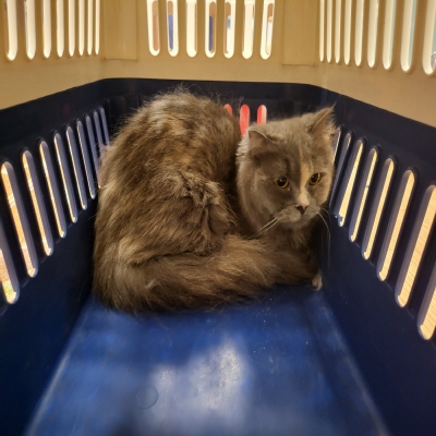 누리동물병원_426338202300217