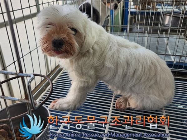한국동물구조관리협회_411311202300515