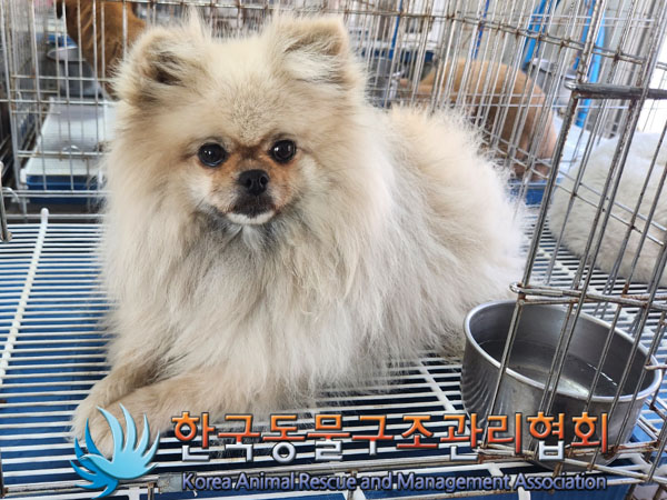 한국동물구조관리협회_441414202300408