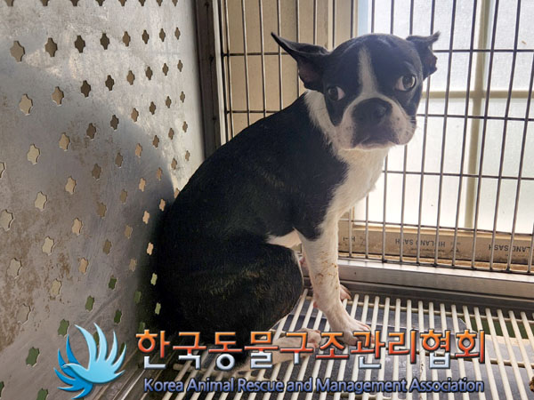 한국동물구조관리협회_411306202300426