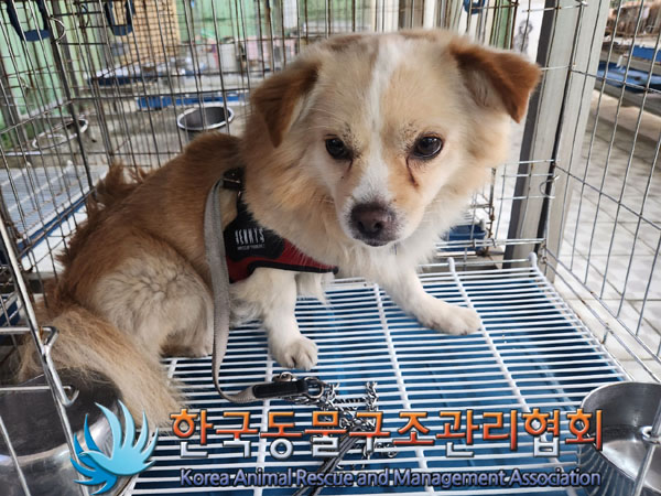 한국동물구조관리협회_411309202300219