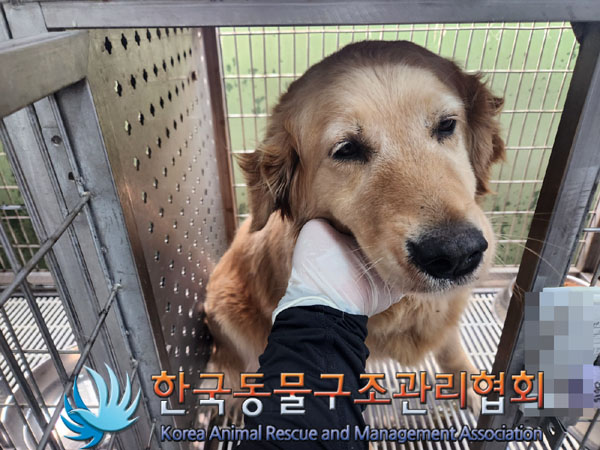 한국동물구조관리협회_441414202300409