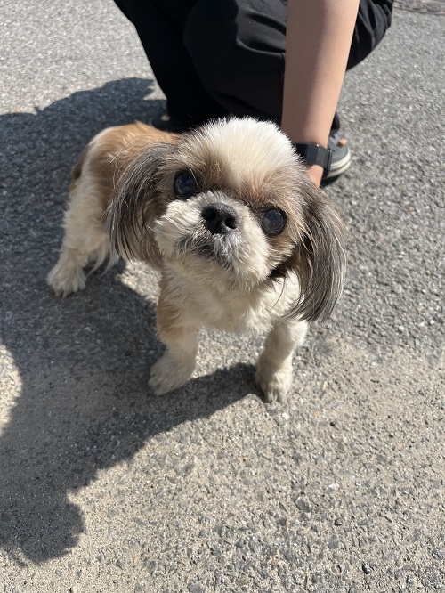 반려동물보호센터_443571202301778