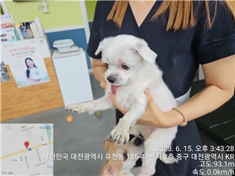 대전동물보호센터_430365202300276