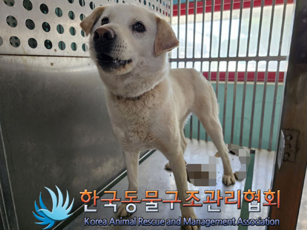 한국동물구조관리협회_411300202300226