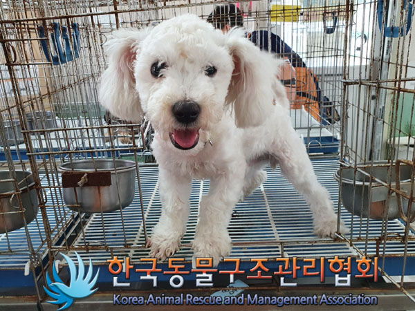 한국동물구조관리협회_441392202300125