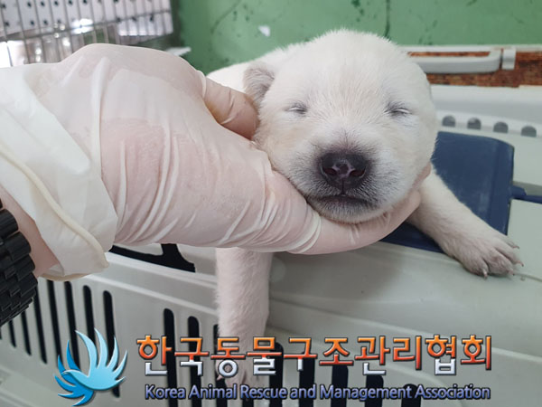 한국동물구조관리협회_441559202300447