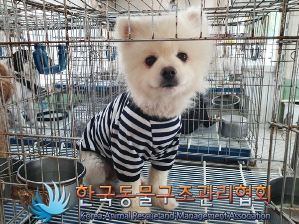 한국동물구조관리협회_411323202300594