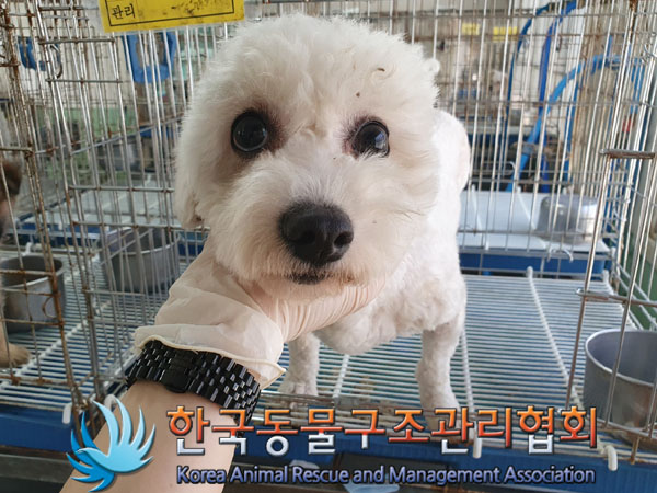 한국동물구조관리협회_441406202300877