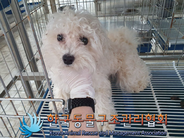 한국동물구조관리협회_441559202300442