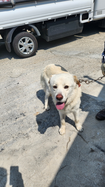 익산유기동물보호소_445468202301303