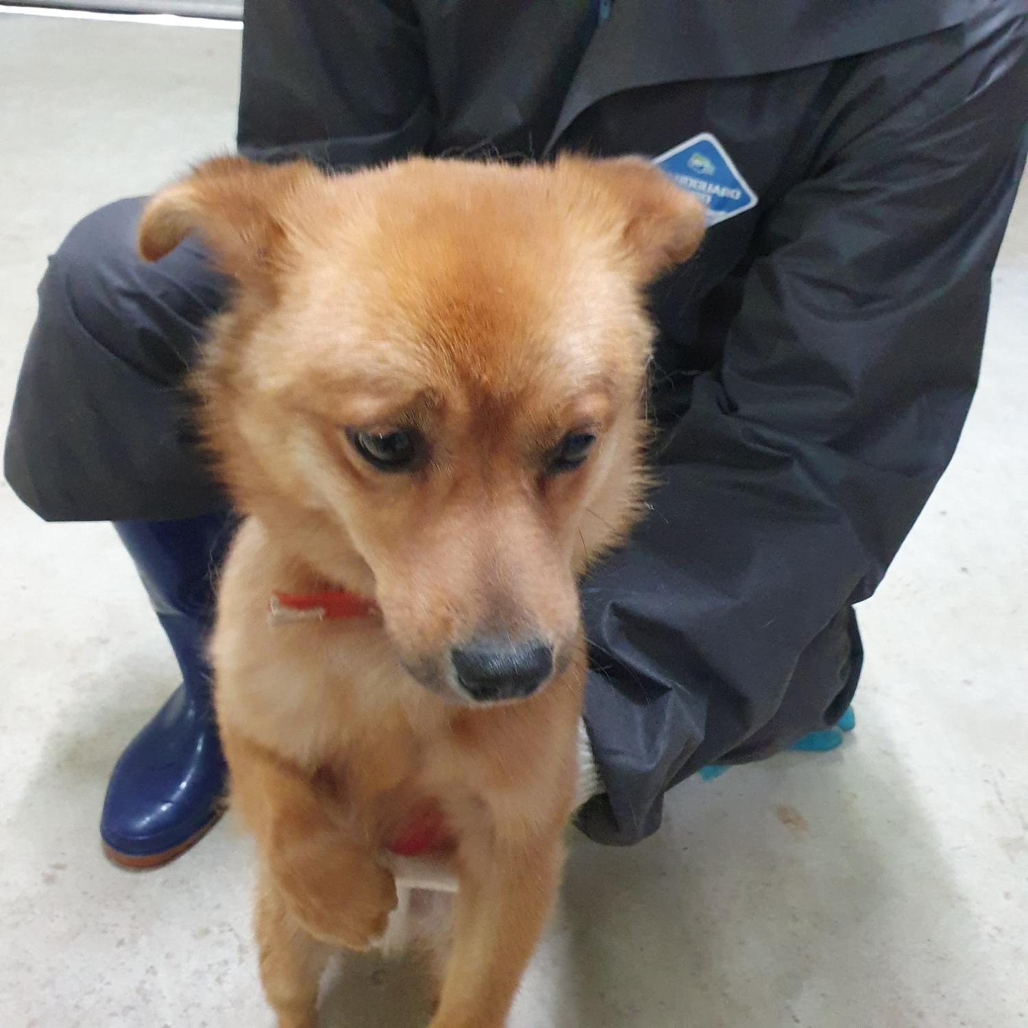 구미시 동물보호센터_447508202300751