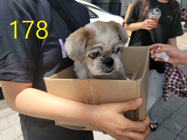 신영재동물병원_428355202300288