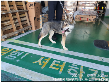 대전동물보호센터_430366202300372