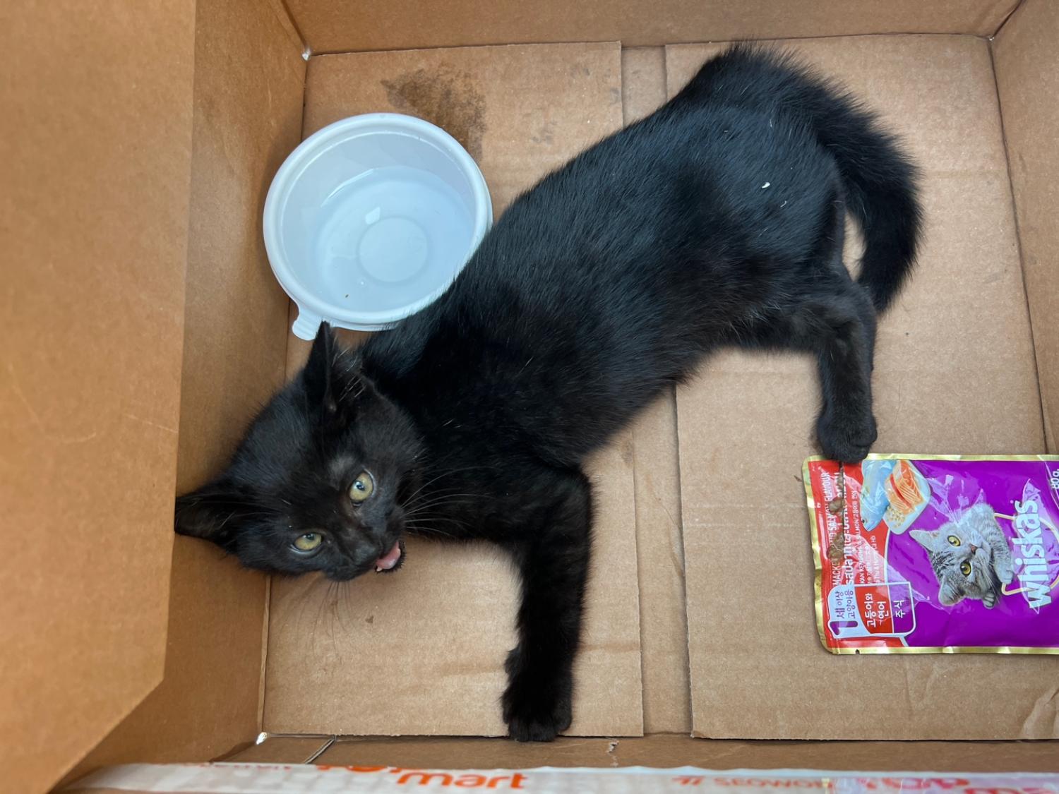 부산동물보호센터_426325202300171