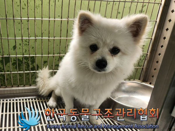 한국동물구조관리협회_411312202300422