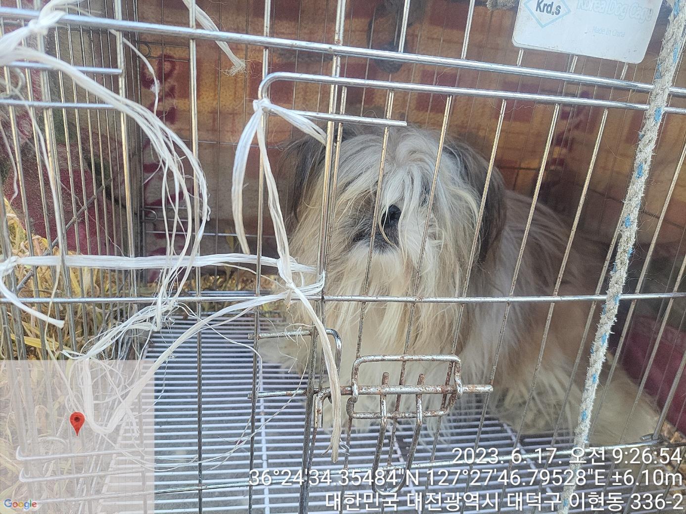 대전동물보호센터_430368202300302