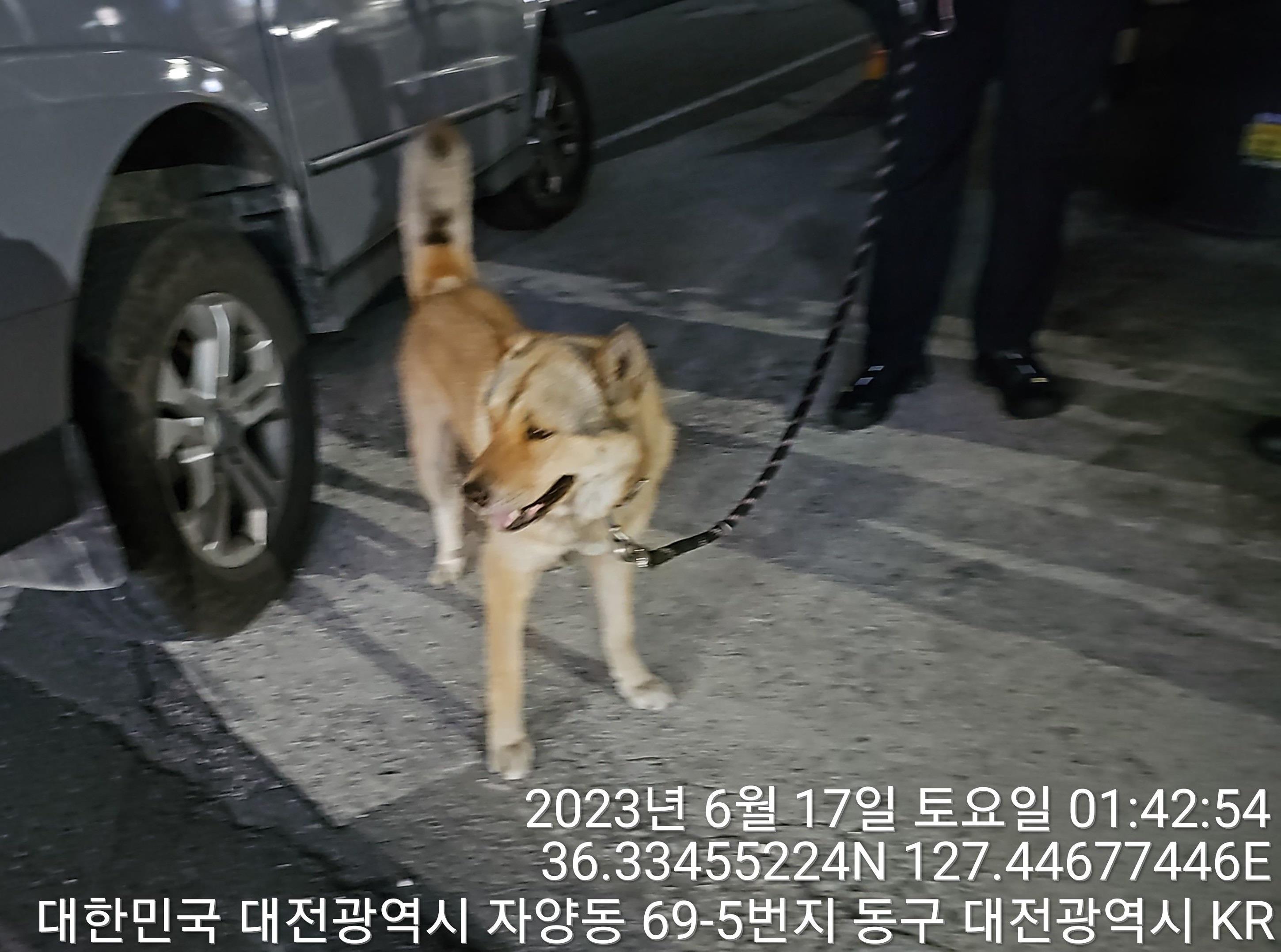 대전동물보호센터_430364202300199