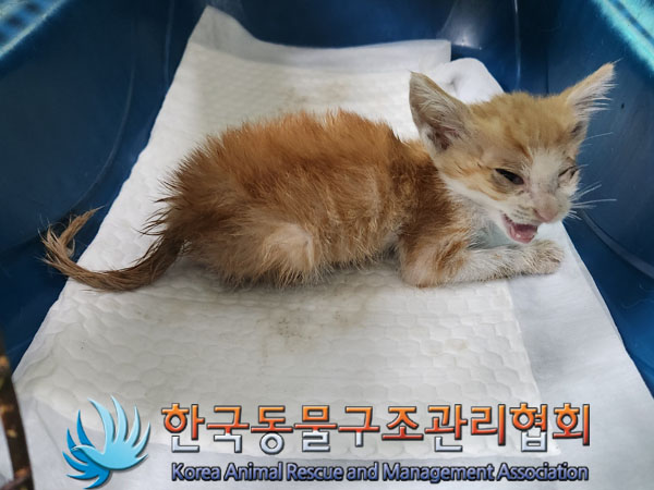 한국동물구조관리협회_411323202300601