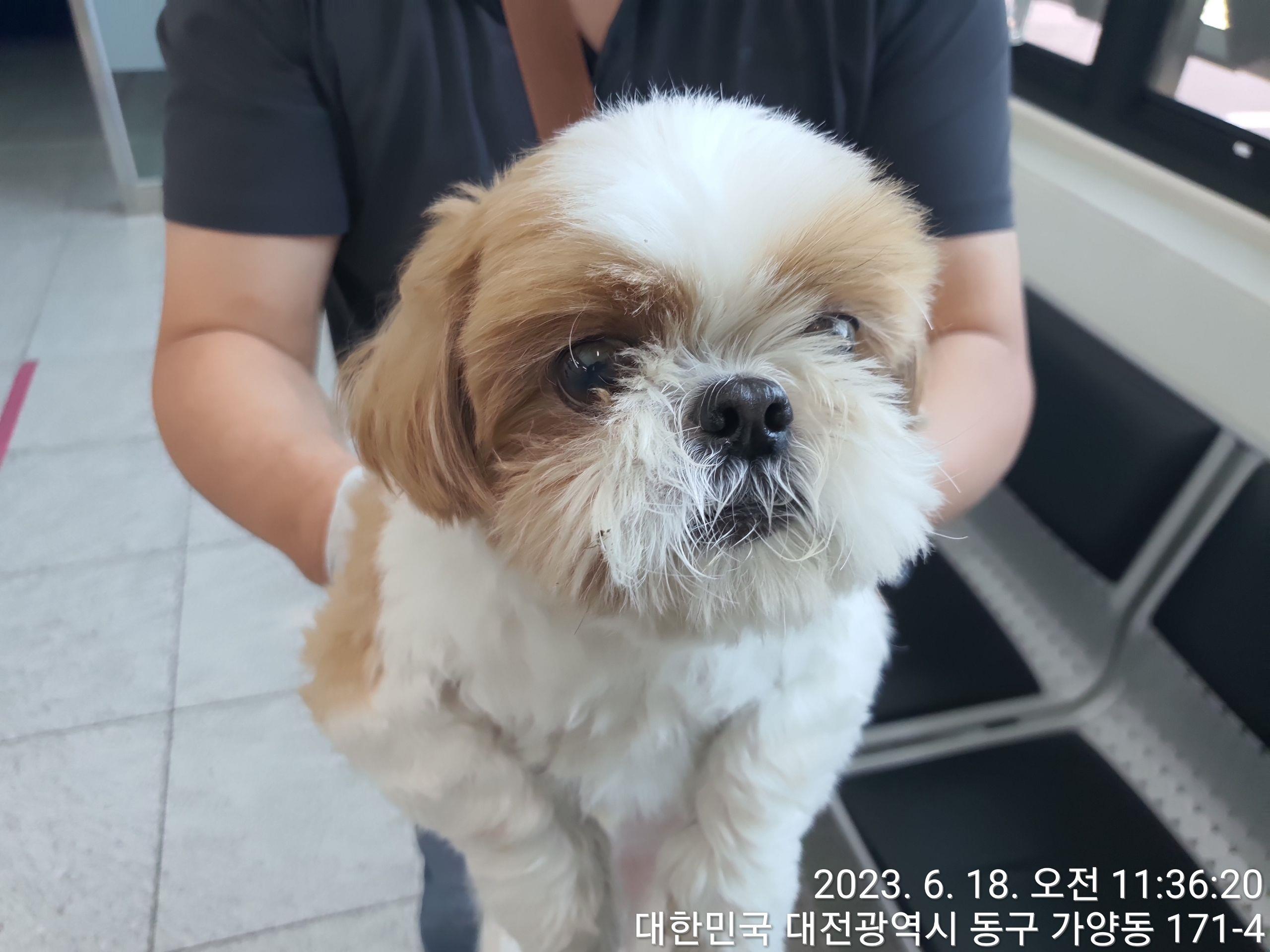 대전동물보호센터_430364202300201