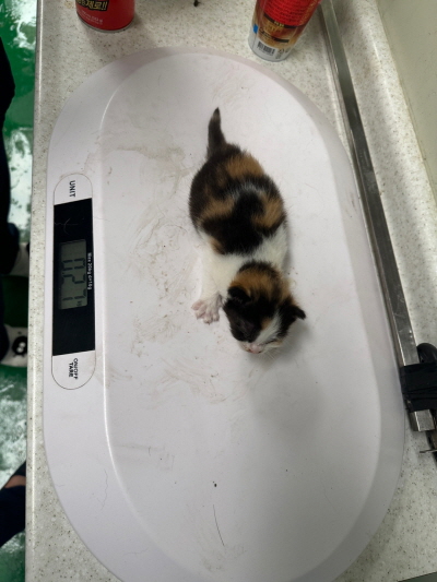 누리동물병원_426333202300444