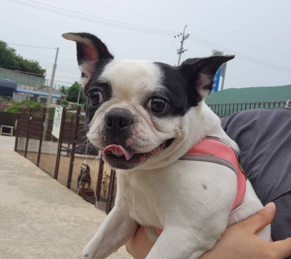 한국야생동물보호협회_441393202301108