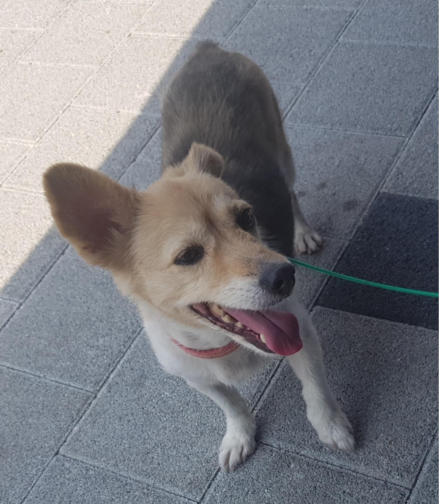 종합축산_447512202300410