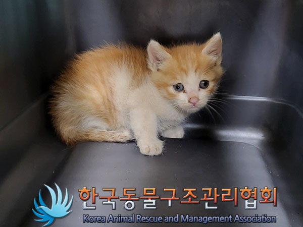 한국동물구조관리협회_411310202300277